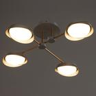 Люстра 1852/4 LED 64 Вт 3000-6000К серо-золотой 65×65×17 см BayerLux - фото 35364498