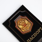 Обложка для паспорта, цвет чёрный - Фото 5