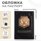 Обложка для паспорта, цвет чёрный - фото 3029031