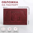 Обложка для паспорта, цвет фиолетово-бордовый - фото 301525878