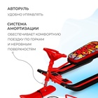 Снегокат «Тимка спорт 2 + Граффити», ТС2+/GR - Фото 3