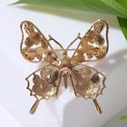 Брошь «Бабочка» бусинка, цветная в золоте - Фото 2