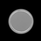 Светоотражающая термонаклейка «Круг», d = 6 см, цвет серый - Фото 2