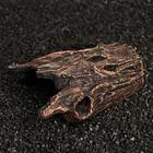 Укрытие для террариума под дерево, 15×11×5.5 см - Фото 4