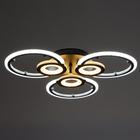 Люстра с ПДУ 1134/3BK LED 102Вт 3000К-6000К диммер черный 56х56х7 см BayerLux - фото 35728994