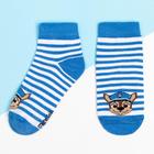 Набор носков Гончик, 2 пары, 14-16 см 7151464