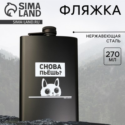 Фляжка «Снова пьёшь?», 270 мл