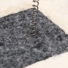 Игрушка для кошек с дразнилками «Зимний лес», микс цветов - Фото 5