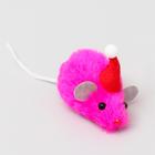 Игрушка для кошек "Мышонок в колпаке", с шуршащим наполнителем и кошачьей мятой, розовая - Фото 1
