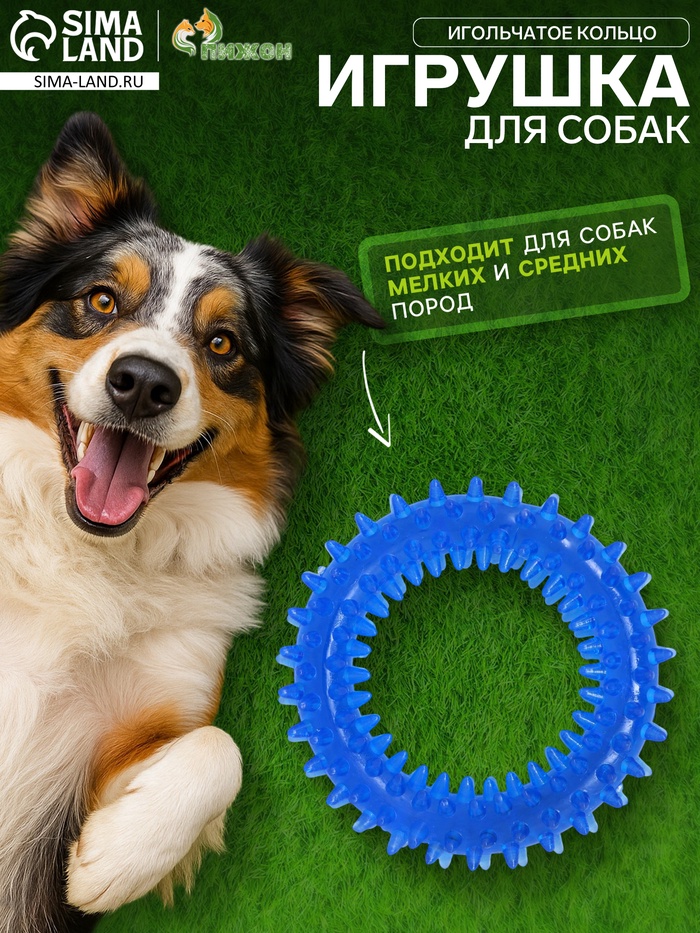 Жевательная игрушка для собак «Игольчатое кольцо», 9 см, синяя - Фото 1