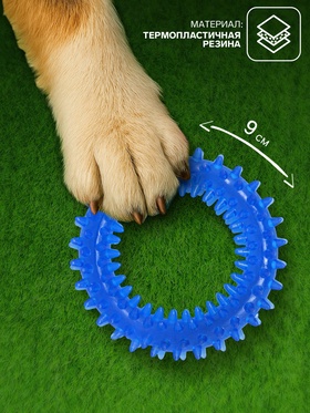 Игрушка жевательная для собак «Игольчатое кольцо», 9 см, синяя (комплект 2 шт)