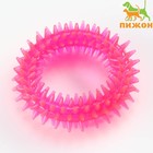 Игрушка жевательная для собак "Игольчатое кольцо", 9 см, розовая - фото 318606653