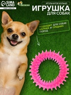Жевательная игрушка для собак «Игольчатое кольцо», 9 см, розовая - Фото 1