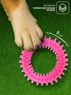 Жевательная игрушка для собак «Игольчатое кольцо», 9 см, розовая - Фото 2