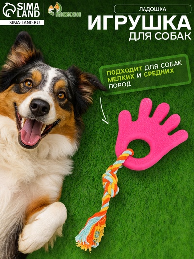 Игрушка жевательная с канатом для собак «Ладошка», 10 см, розовая
