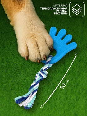 Игрушка жевательная с канатом для собак «Ладошка», 10 см, голубая