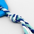 Игрушка жевательная с канатом для собак «Ладошка», 10 см, голубая - фото 60794862