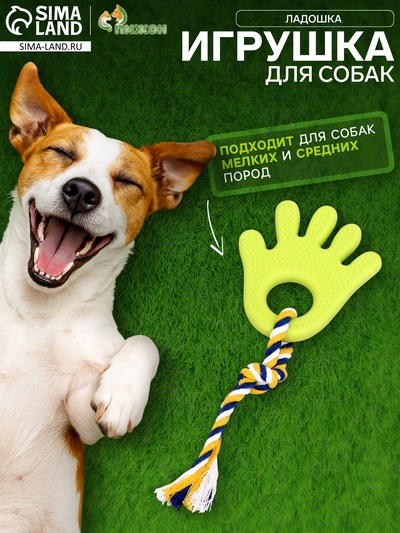 Игрушка жевательная с канатом для собак «Ладошка», 10 см, салатовая