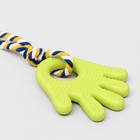 Игрушка жевательная с канатом для собак «Ладошка», 10 см, салатовая 6257020