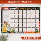 Планинг-магнит А3 «Пора записывать свои планы» 6990032