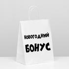 Пакет подарочный с приколами, крафт «Новогодний бонус», белый, 24 х 10,5 х 32 см 7161766 - фото 9374154