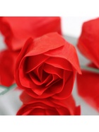 Мыльные розы, красные, набор 9 шт. - Фото 6