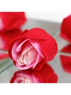 Мыльные розочки, трёхцветные, набор 3 шт. - Фото 9