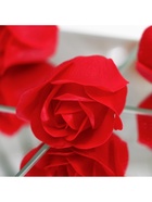 Мыльные розочки и медвежонок, набор - Фото 9