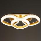 Люстра с ПДУ 1141/3 LED+подсветка 72Вт 3000К-6000К диммер золото 54х25х13 см BayerLux - фото 36643330