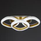 Люстра с ПДУ 1141/3 LED+подсветка 72Вт 3000К-6000К диммер золото 54х25х13 см BayerLux - фото 36643331