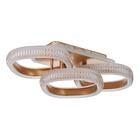 Люстра с ПДУ 1141/3 LED+подсветка 72Вт 3000К-6000К диммер золото 54х25х13 см BayerLux - фото 36643336