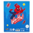 Тетрадь в линейку 12 листов, 5 видов МИКС, обложка мелованный картон, «Человек-паук» - Фото 9