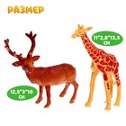 Набор животных «Дикие», 12 штук - Фото 4