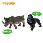 Набор животных «Дикие», 12 штук - Фото 6