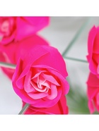 Мыльные розы, трёхцветные, набор 6 шт. - Фото 8