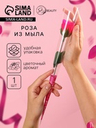 Мыльная роза, фуксия - Фото 1