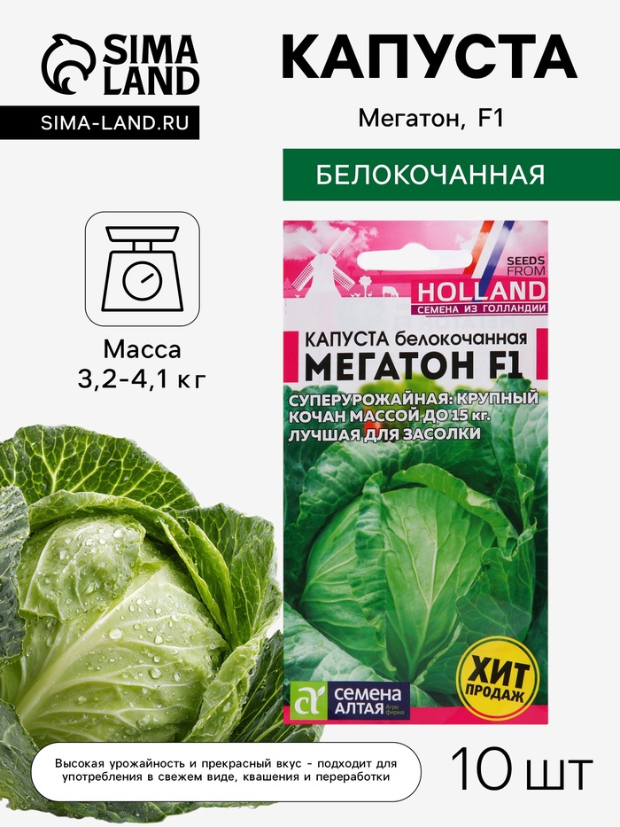 Семена Капуста белокочанная «Мегатон», F1, 10 шт., «Семена Алтая» - Фото 1