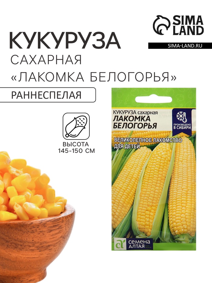 Семена Кукуруза сахарная «Лакомка Белогорья», 5 г, «Семена Алтая» - Фото 1