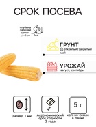 Семена Кукуруза сахарная «Лакомка Белогорья», 5 г, «Семена Алтая» - Фото 2