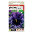 Семена цветов Виола "Махровые узоры", Синяя, F1, ц/п, 5 шт. - Фото 1