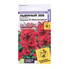 Семена цветов Львиный зев Твинни "Фиолетовый", махровый, Сем. Алт, ц/п, 5 шт - Фото 3