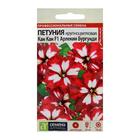 Семена цветов Петуния "Кан Кан Арлекин", бургунди, Сем. Алт, ц/п, 5 шт - Фото 1