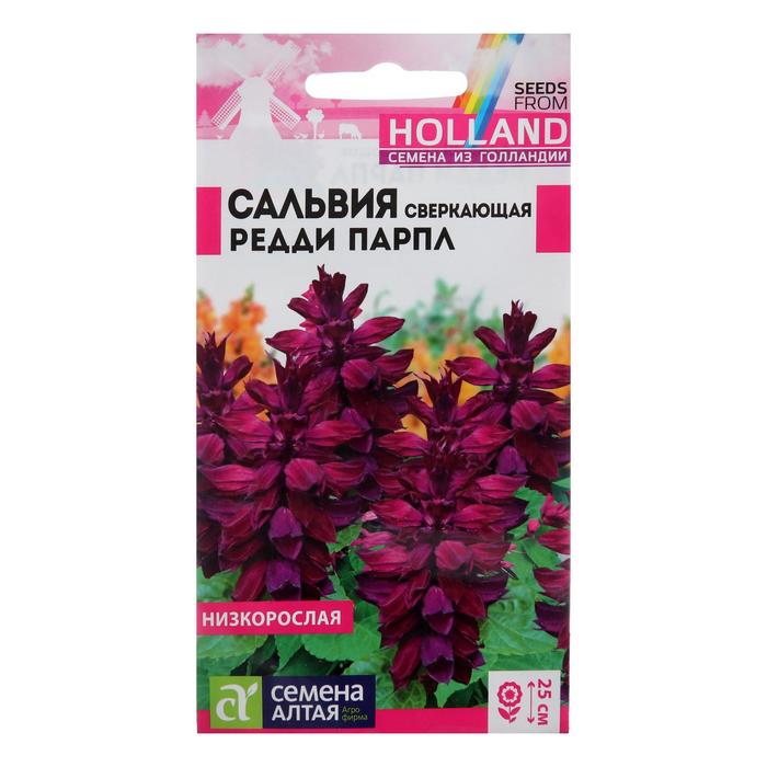 Семена цветов Сальвия "Редди Парпл", сверкающая, Сем. Алт, ц/п, 5 шт - Фото 1