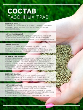 Семена Газонная трава "Для ремонта", Сем. Алт, 30 г