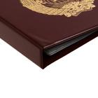 Альбом для монет на кольцах 225 х 265 мм, "Памятные монеты СССР", обложка ПВХ, 4 листа и 4 цветных картонных вставки, бордовый - Фото 3