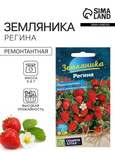 Семена Земляника «Регина», ремонтантная, 0.03 г, «Семена Алтая»
