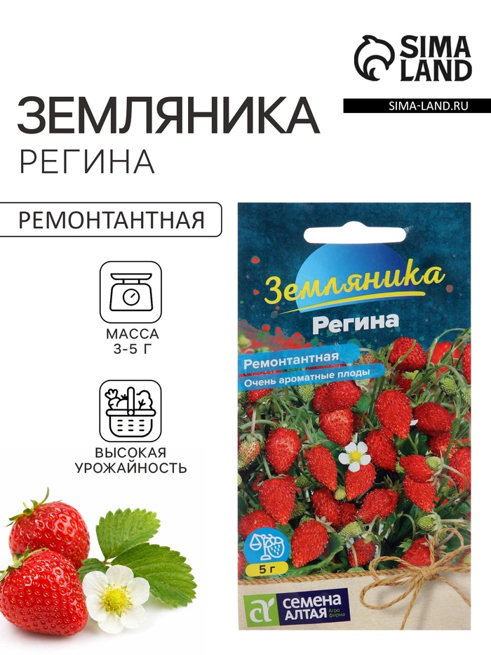 Семена Земляника «Регина», ремонтантная, 0.03 г, «Семена Алтая» - Фото 1