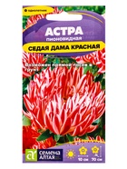 Семена цветов Астра «Седая Дама», красная, 0.1 г, «Семена Алтая» - Фото 1