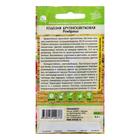 Семена цветов Годеция "Рембрандт", Сем. Алт, ц/п, 0,2 г - Фото 2