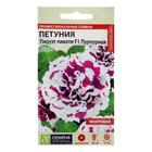 Семена цветов Петуния "Пируэт Пикоти", пурпурная, махровая, F1, Сем. Алт, ц/п, 10 шт - Фото 1